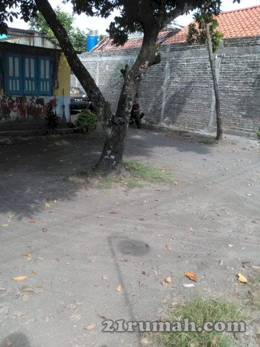 Tanah pekarangan siap bangun