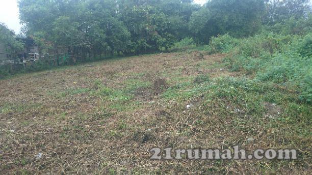 Tanah Darat Permukaan Datar