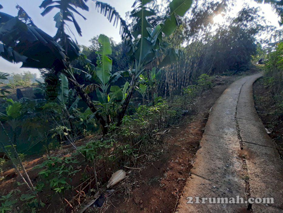 Jual tanah kebun murah dekat kantor bandung barat
