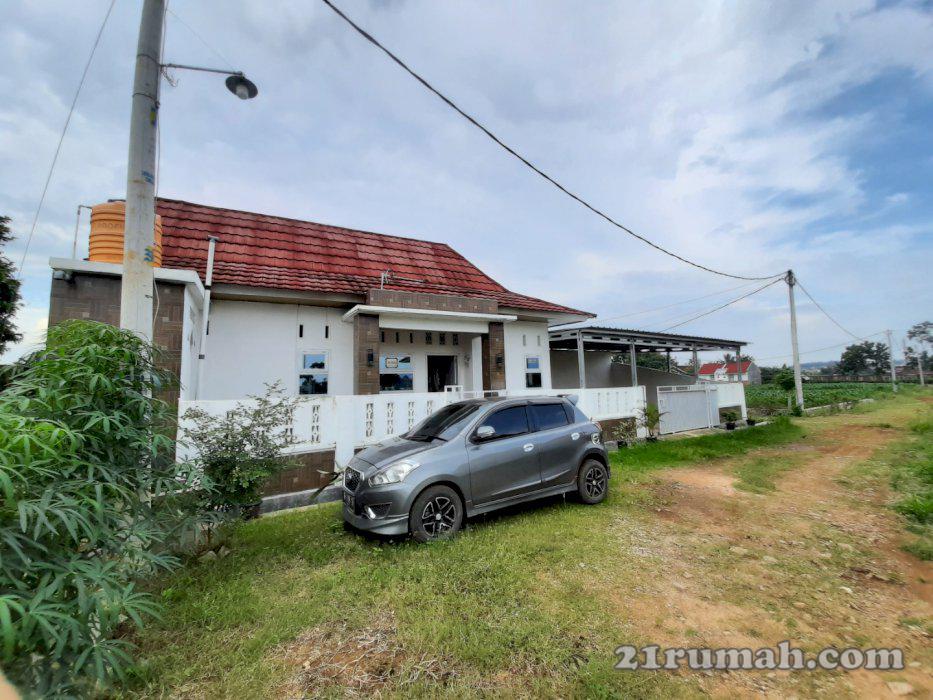 Rumah Mewah dan Asri