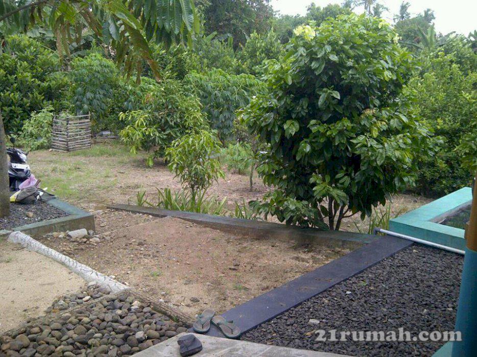 Tanah Pekarangan murah wilayah BandarLampung