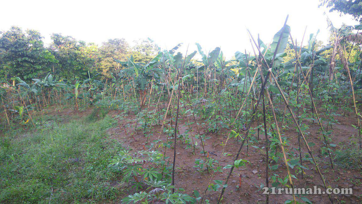 Dijual tanah tanah kosong sangat the best view di Sentul 