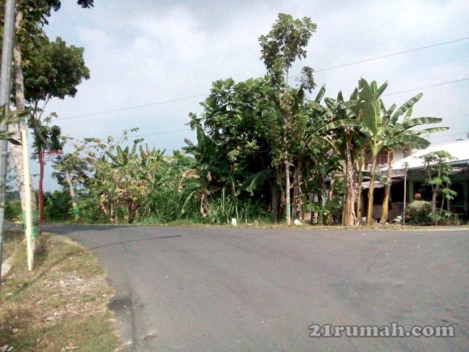 Tanah Strategis Mangku jalan aspal