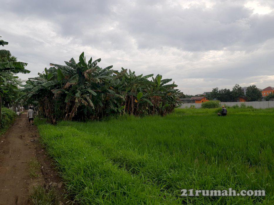 Jual tanah darat murah ,bagus, lokasi strategis