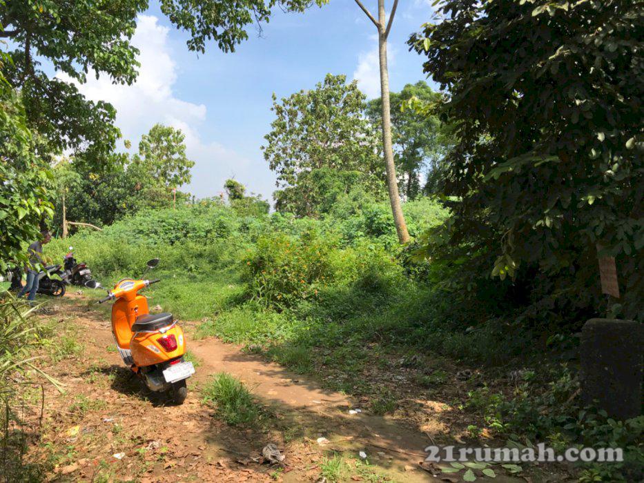 Dijual Tahan di puspitek asri pagedangan