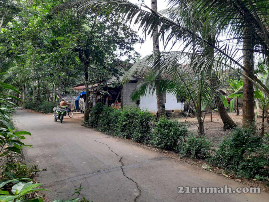 Tanah murah investasi anak cucu, cicit tidak ada ruginya