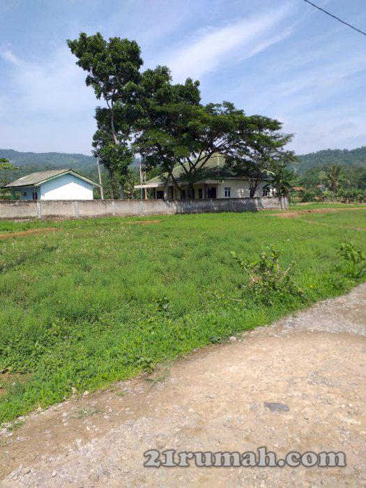 Djual Tanah murah Sukajaya Jonggol