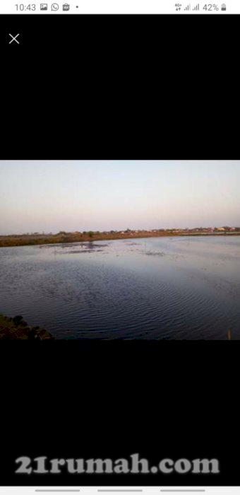 Dijual tanah/tambak produktif LT 2 Hektar