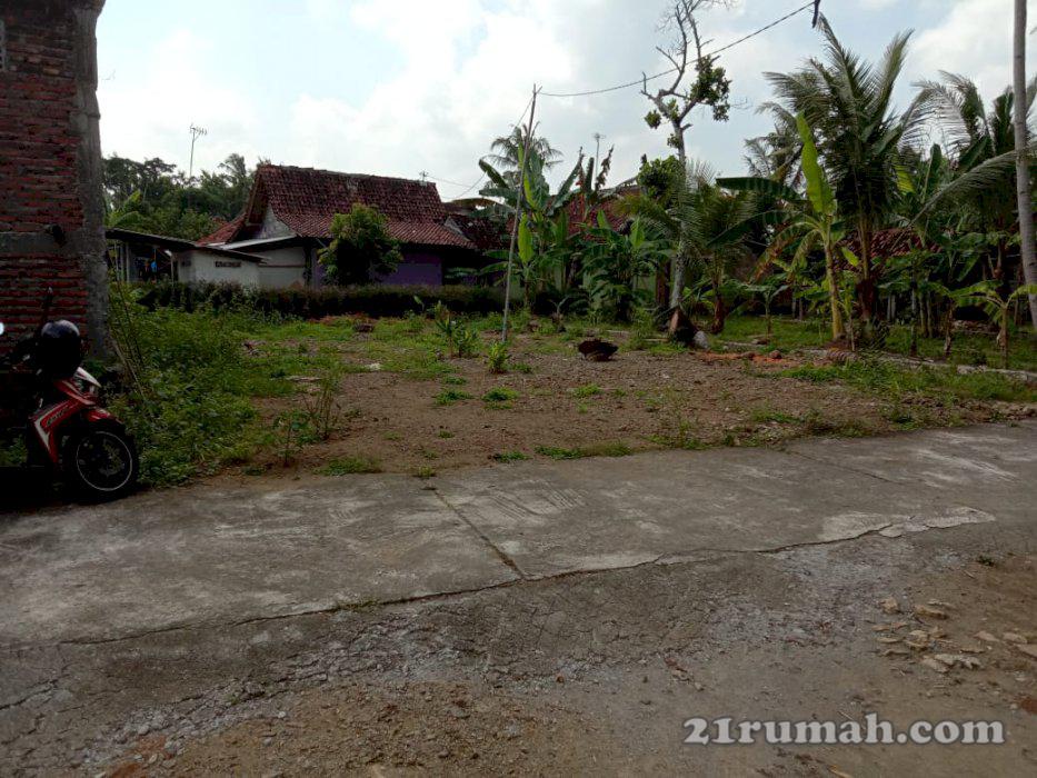 Tanah siap bangun bosku yahud