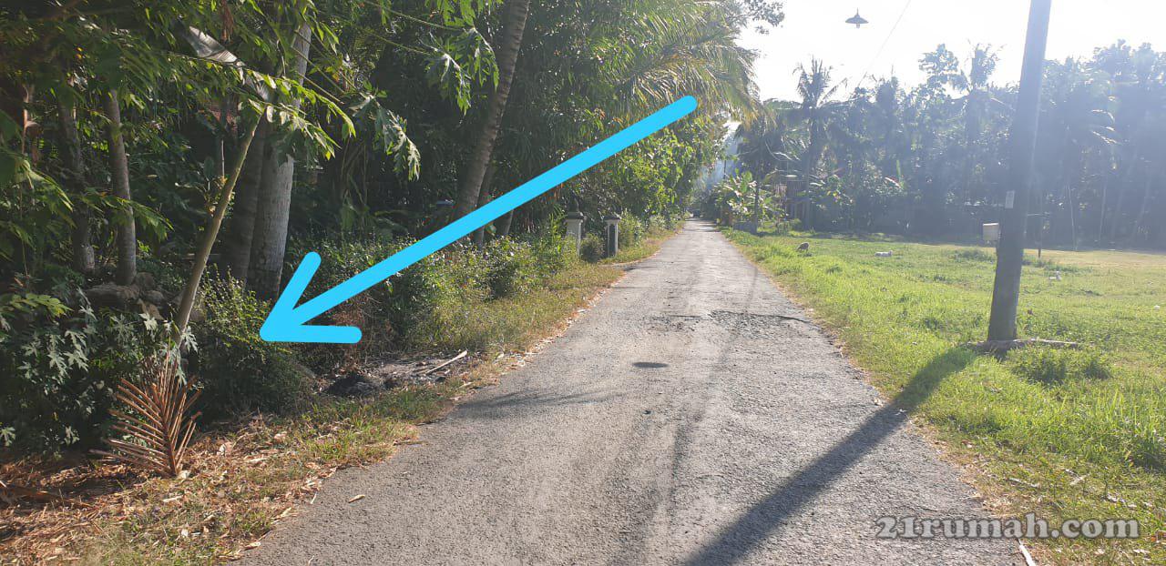 Tahah lokasi strategis, dekat bandara baru NYIA KULON PROGO