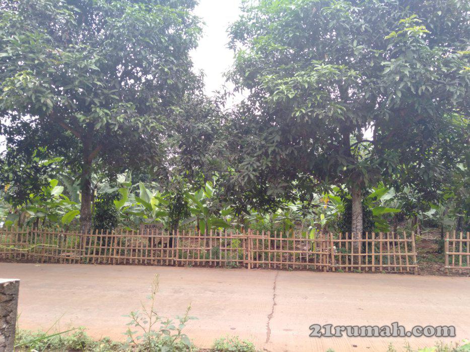 Tanah lokasi cakep di setu cikarageman