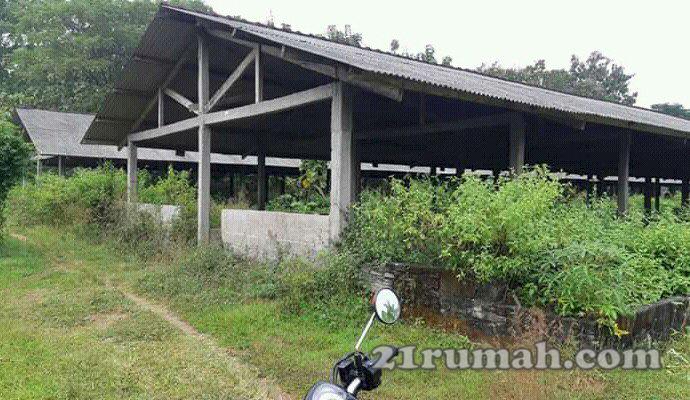Dijual tanah plus kandang Kesamben jombang