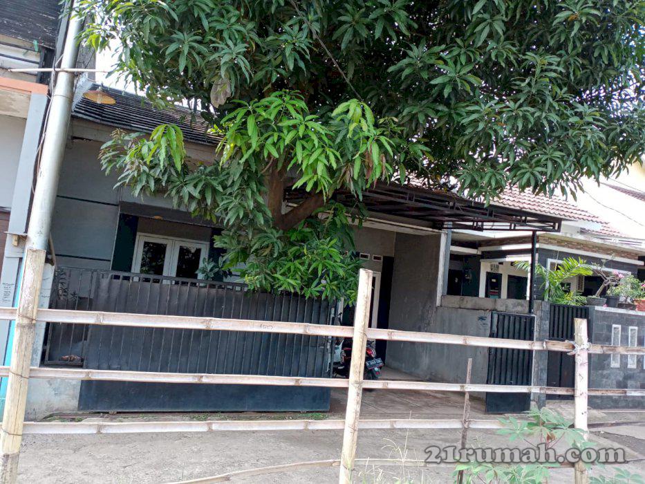 Kontrakan tahunan khusus muslim