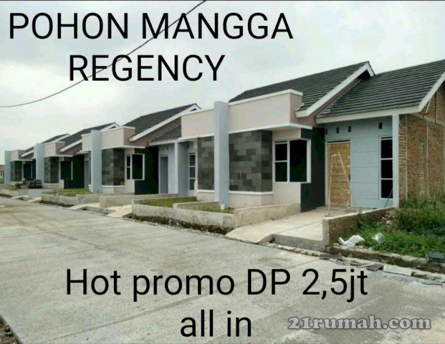 Rumah minimalis murah kwalitas terbaik di Rancamanyar 