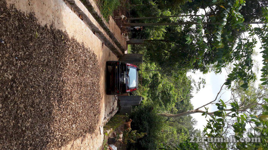 Jual kebon duren dan cengkeh