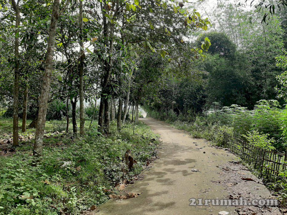 Dijual Tanah Kebun Murah di Bekasi