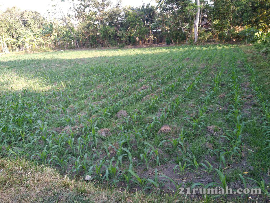 Jual tanah belakang pabrik plastik