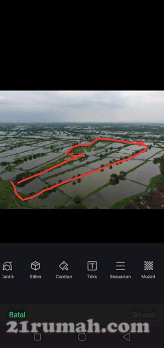 Dijual murah tambak ikan produktif untuk bangun masjid dan santunan anak yatim