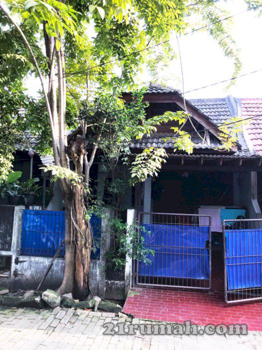 DIJUAL Rumah Murah STrategis Palem Bintaro