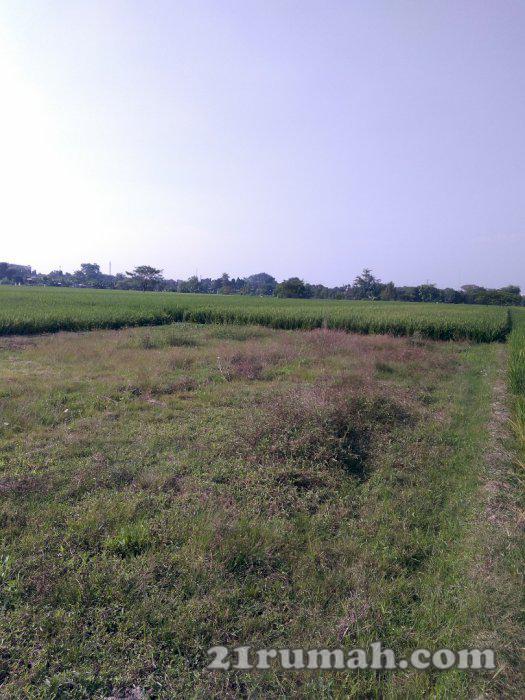 Tanah strategis di kawasan Palur 