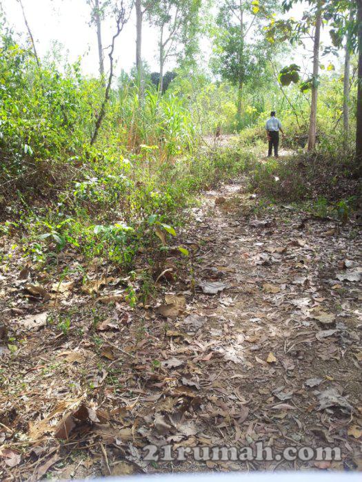 tanah kosong, cocok untuk perumahan atau investasi