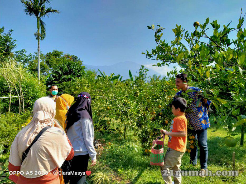 Petik Jeruk dan Bunga with SkyPark Resort Kota Wisata Batu