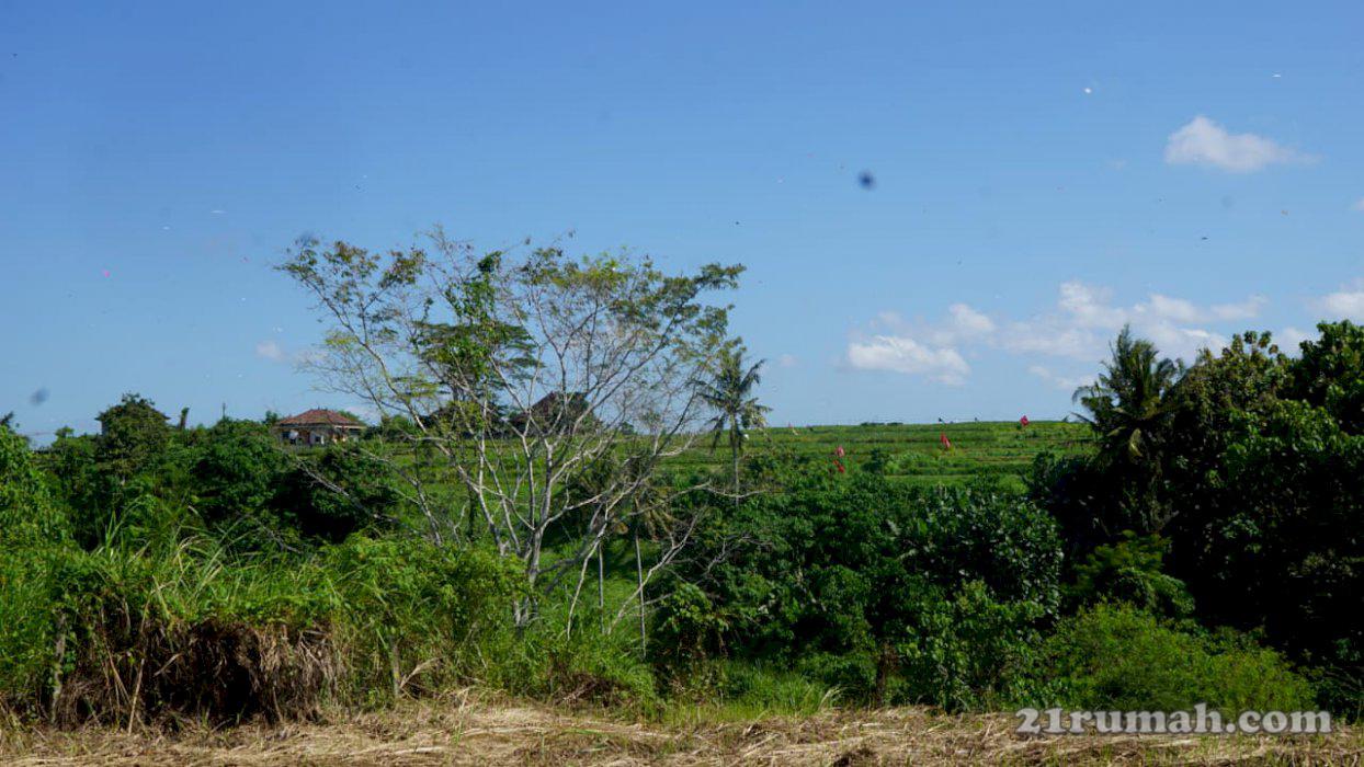 Dijual TANAH DENGAN LOKASI SANGAT STRATEGIS DAN LANGKA DI TEGENUNGAN SUKAWATI 