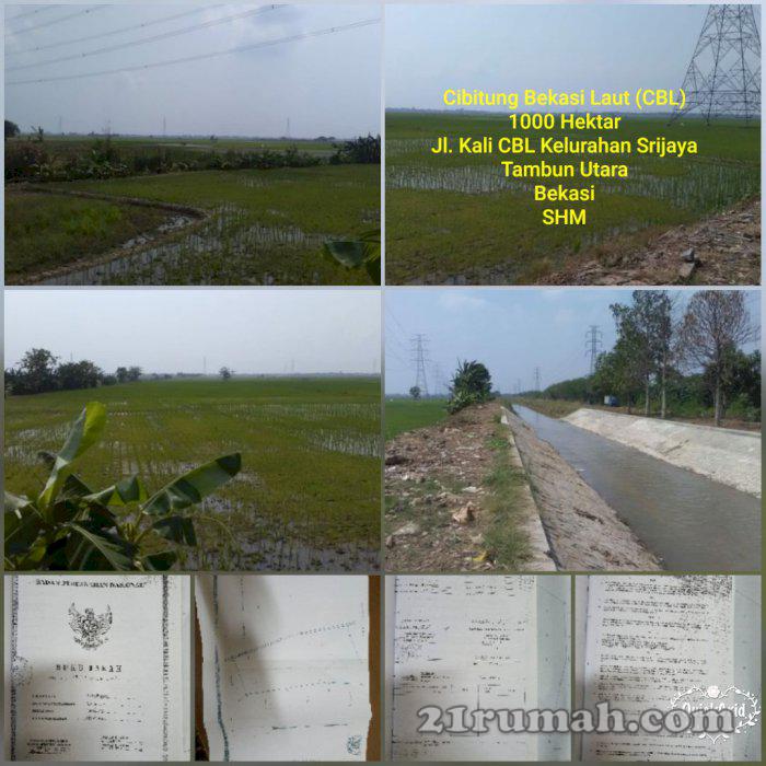 Tanah CBL Luas 1000 Hektar