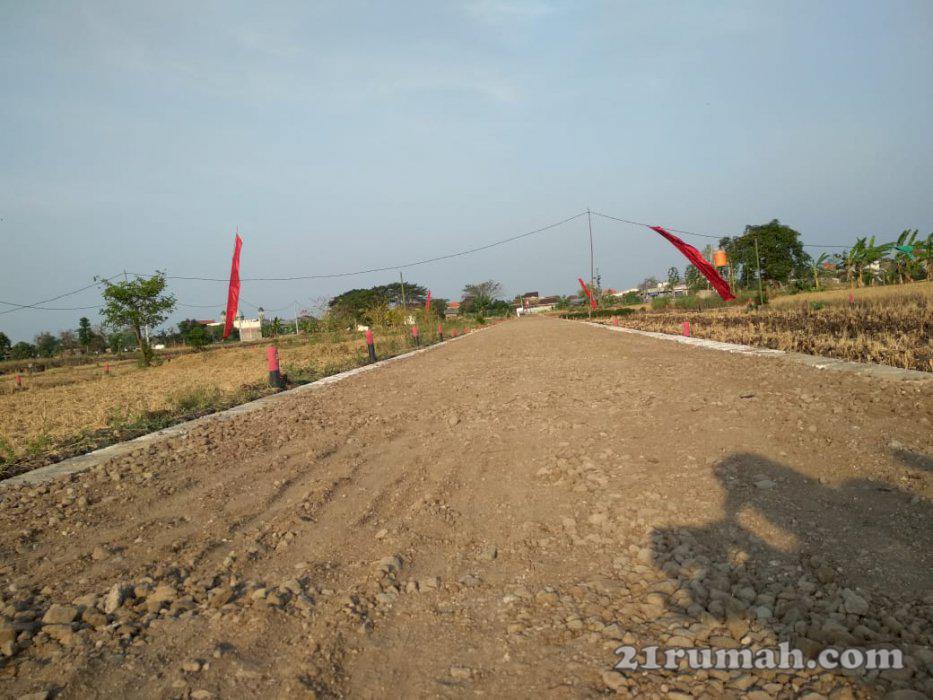 Kavling Murah  Lokasi Ds Biyodo Menganti