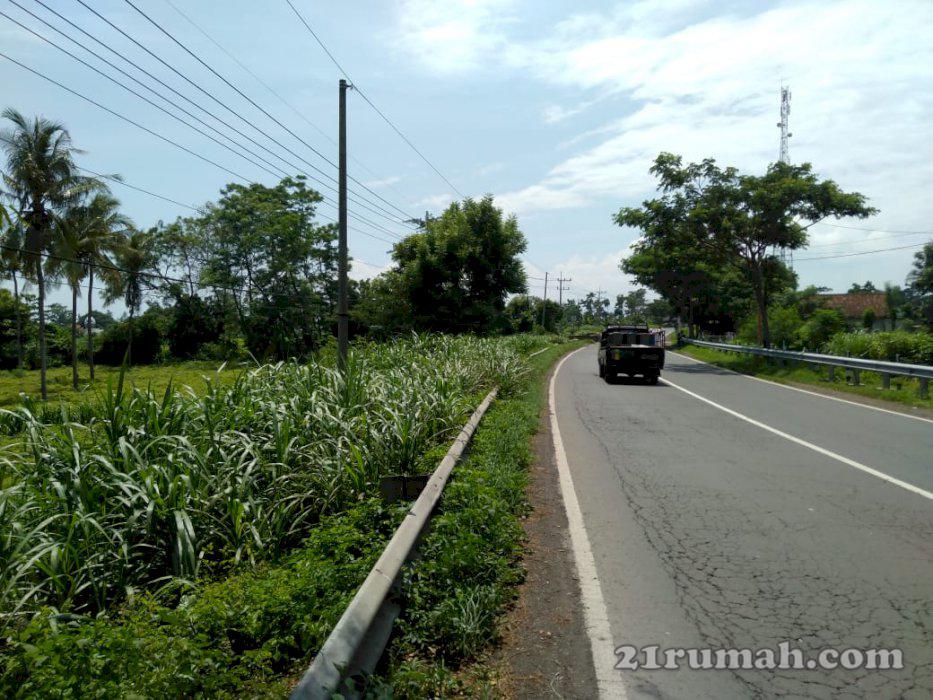 Dijual tanah murah di banyuwangi jawa timut