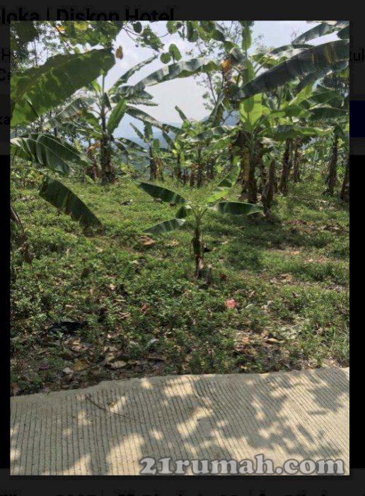 Dijual tanah di daerah Sentul Bojong koneng 2000m 