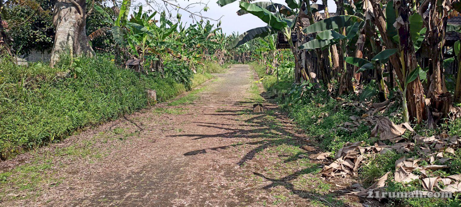 Jual tanah luas 15000 daerah cilember megamendung cisarua