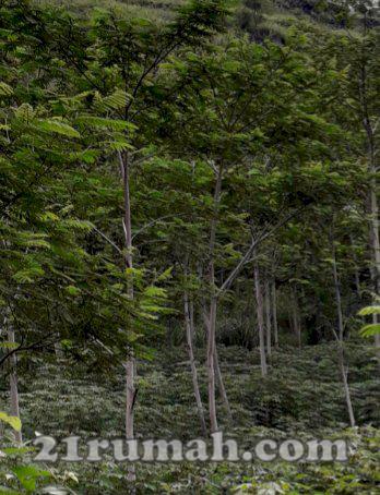 Dijual tanah untuk investasi 