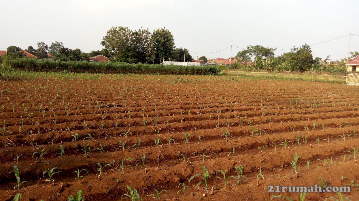 Jual Tanah kosong daerah Cilendek Timur