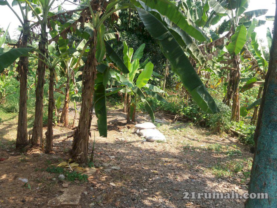 Tanah mau di jual ,lagi butuh uang 