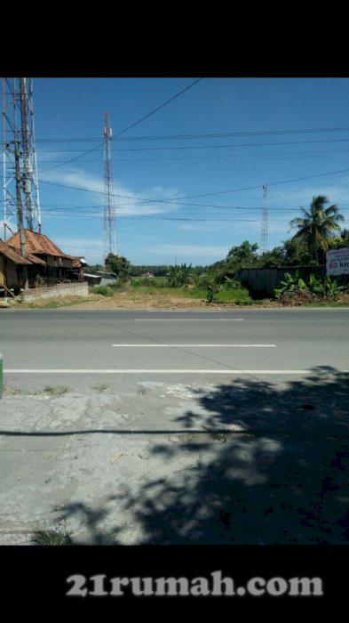 Tanah Lokasi Strategis Mangku jalan Nasional Dekat Bandara YIA