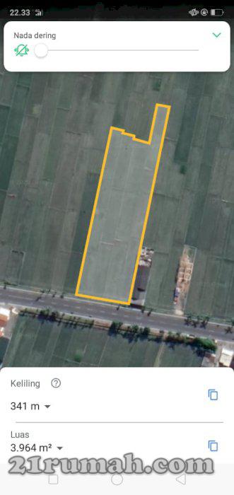 Tanah Lokasi bagus buat usaha dekat Bandara YIA mangku jalan nasional