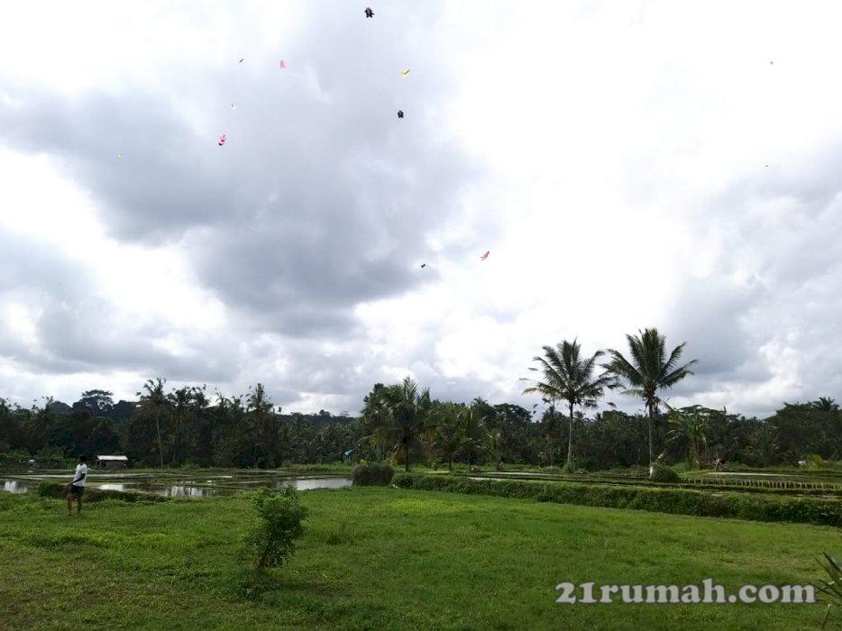Di JUAL TANAH di jalan cinta ubud utara