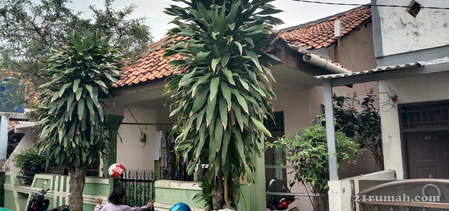 Dijual Murah Rumah Kebon Jeruk Jakbar 140M 4Kt 2Km Strategis Bebas Banjir
