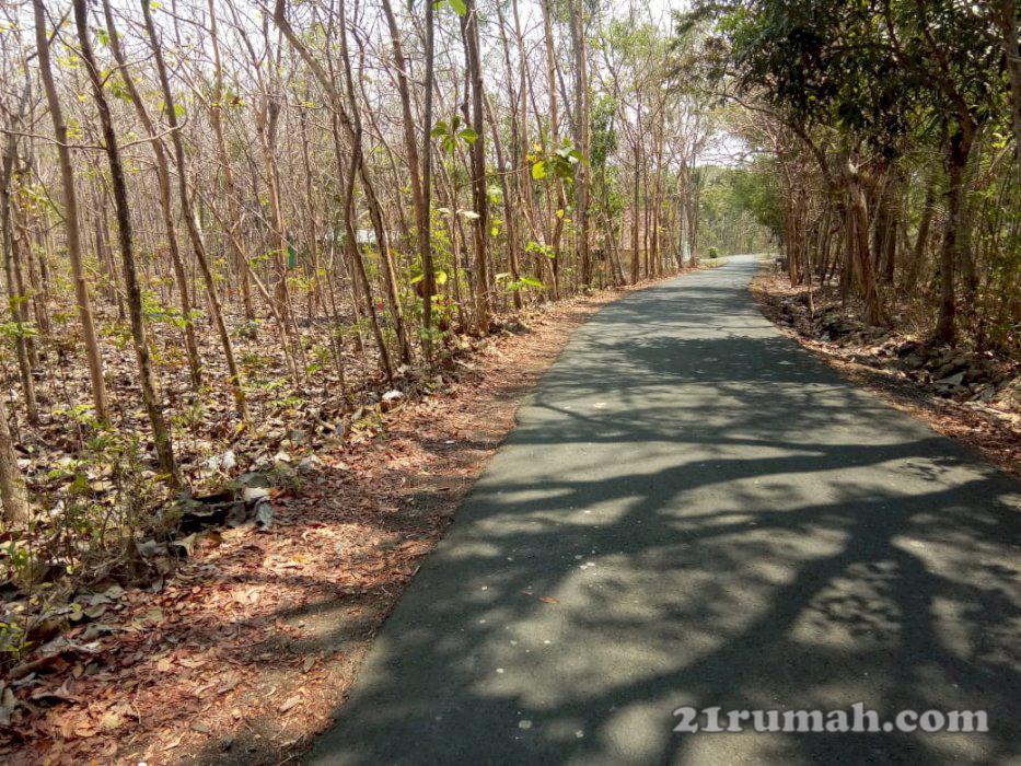 Tanah mangku aspal cocok perumahan mewah