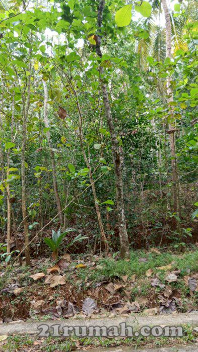 BU Tanah dijual cepat tanpa perantara