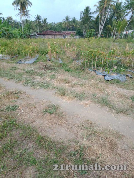 Tanah dijual bagus buat perumahan mewah