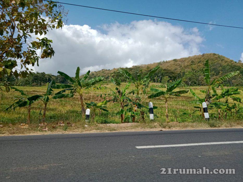 Tanah dijual cepat banting harga