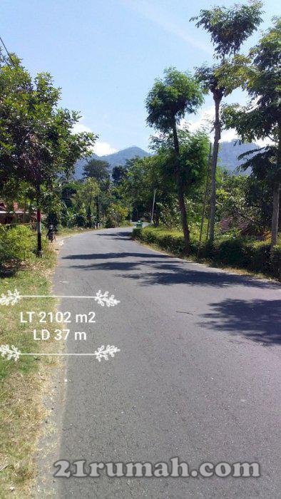 Tanah Pinggir Jalan Dekat Lintas Bedah Menoreh Kulon Progo