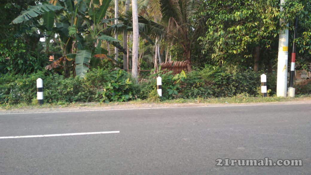 Tanah dijual bagus utk usaha