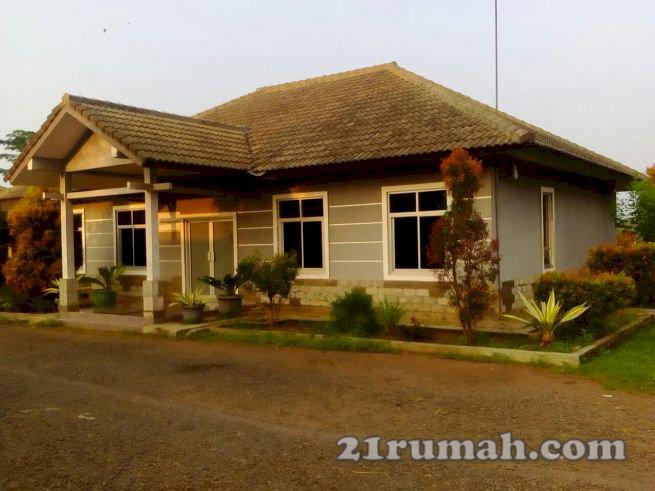 Dijual lahan utk peternakan sapi