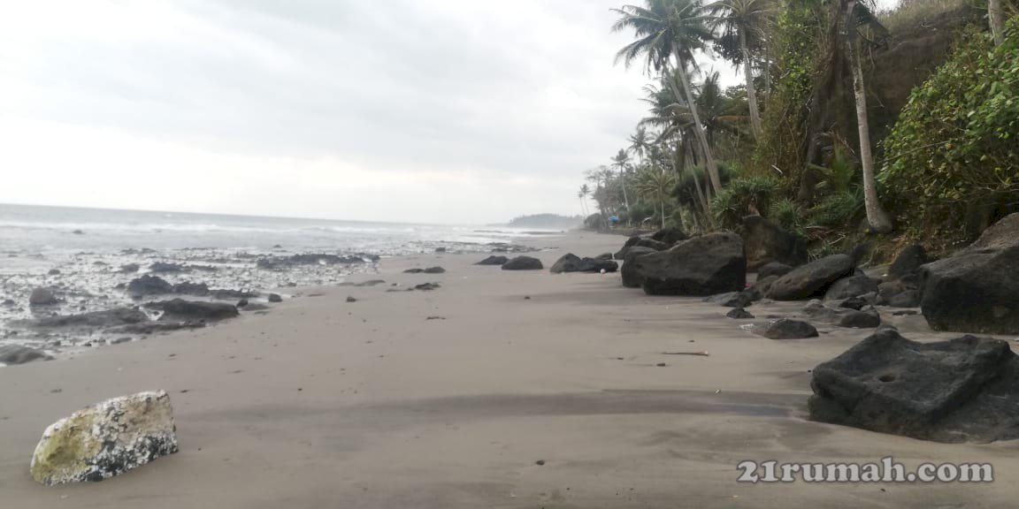 DIJUAL Lahan Loss  Pantai di PANTAI SOKA Selemadeg Tabanan