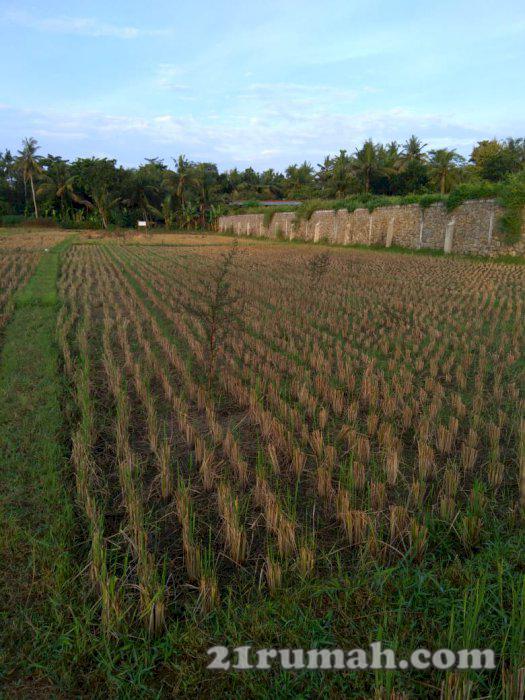 Tanah dijual dekat bandara