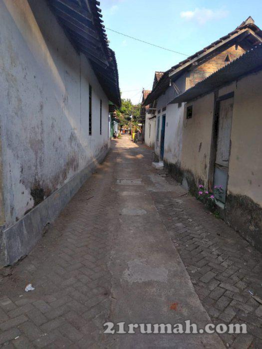 di jual cepat tanah pekarangan lokasi daerah kampus