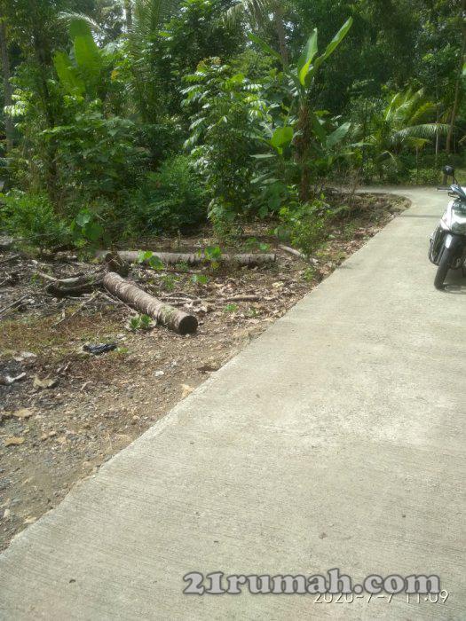 Jual tanah murah dekat kota wates